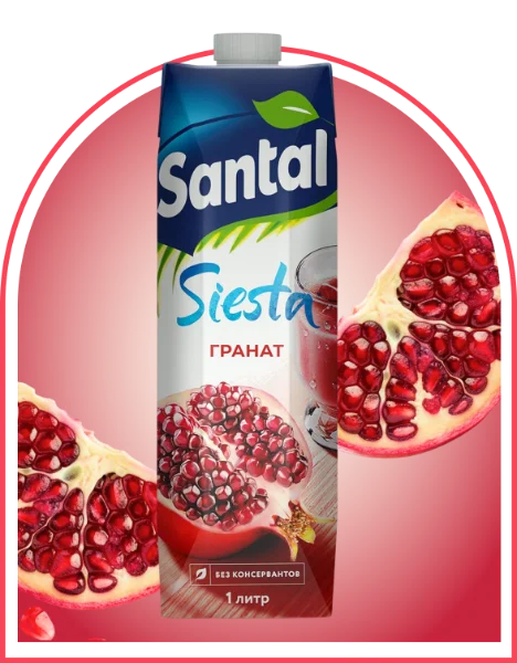 Напиток сокосодержащий Santal гранат