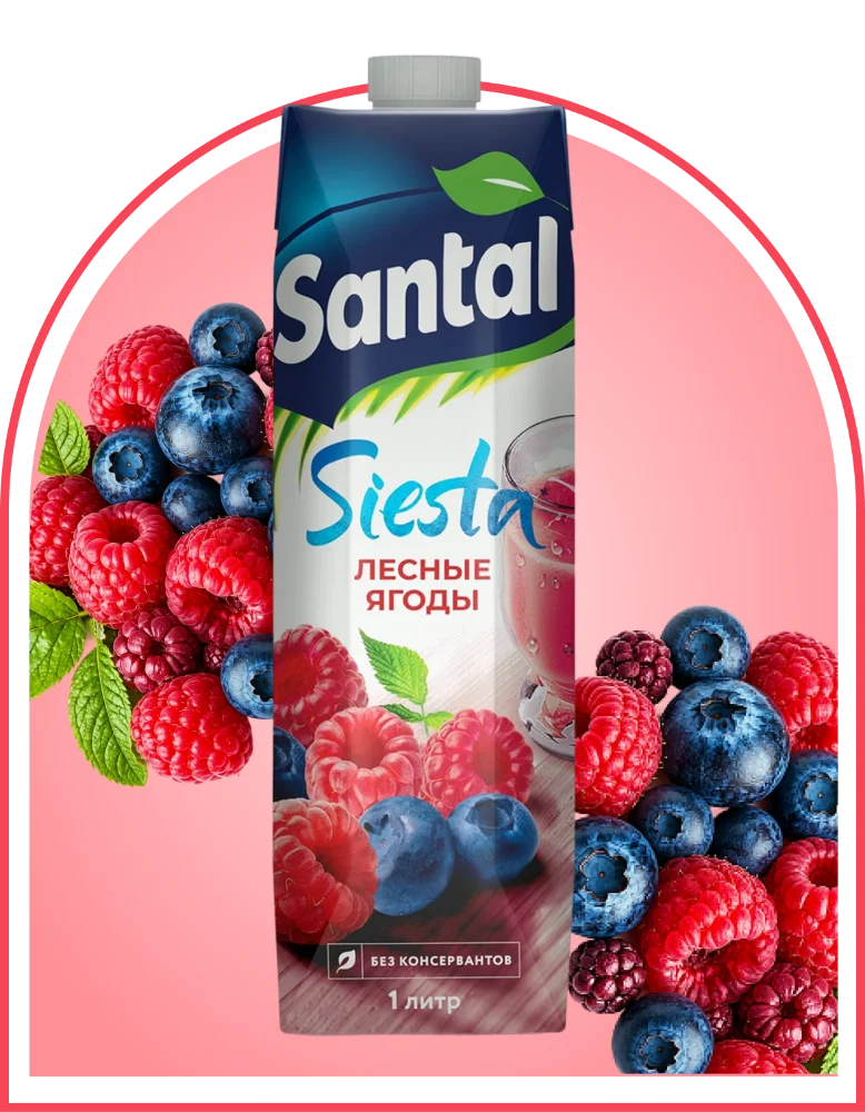 Напиток сокосодержащий Santal лесные ягоды 