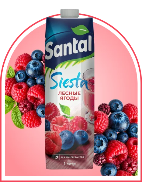 Напиток сокосодержащий Santal лесные ягоды 