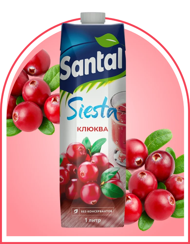 Напиток сокосодержащий Santal клюква