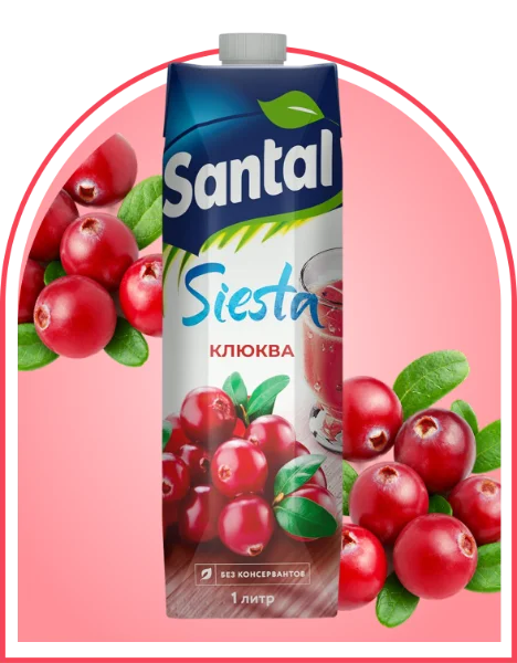 Напиток сокосодержащий Santal клюква